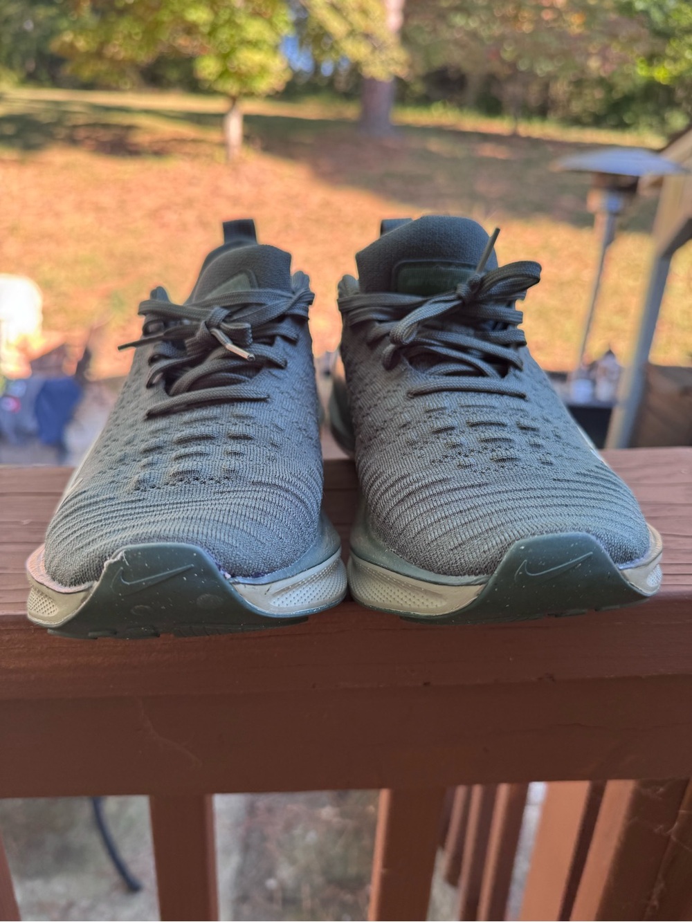 Nike Infinity Run 4 Women’s